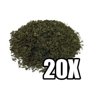 Salvia Extract 20X