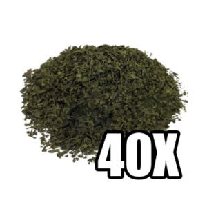 Salvia Extract 40X