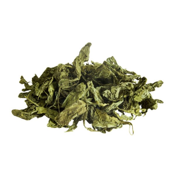 divinorum dry leafs